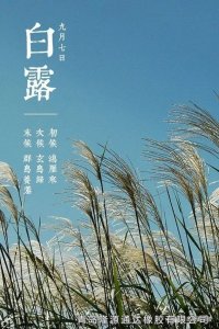 <b>露從今夜白，夜自此日涼！</b>